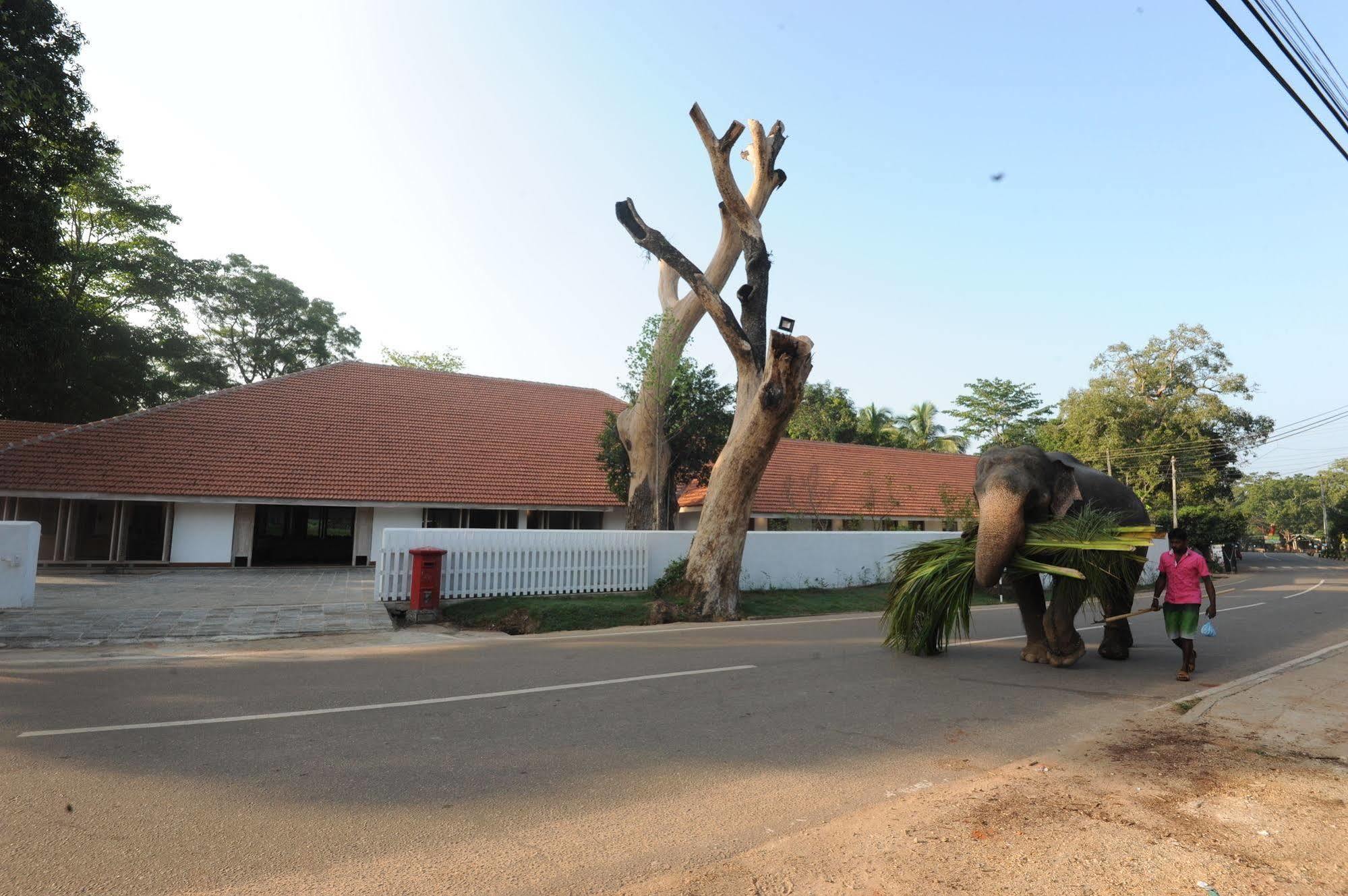 Ekho Sigiriya Hotel Exterior photo